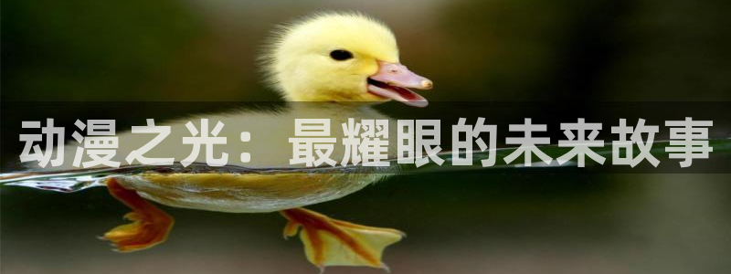 免费51动漫：动漫之光：最耀眼的未来故事