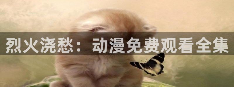 51动漫在线观看免费：烈火浇愁：动漫免费观看全集