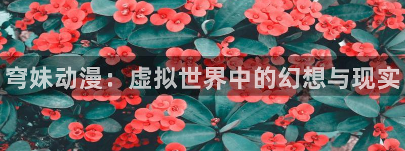 51动漫官网下载：穹妹动漫：虚拟世界中的幻想与现实