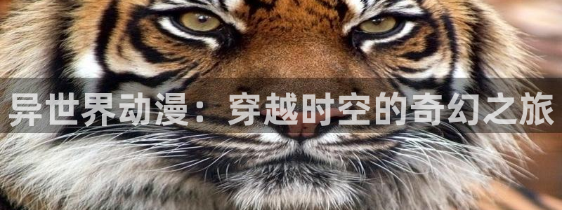51动漫 破解：异世界动漫：穿越时空的奇幻之旅